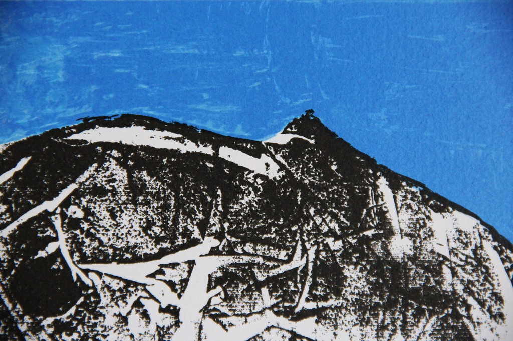 Ans Wortel zeefdruk "overwinnaars" kopen? Bied vanaf 30!