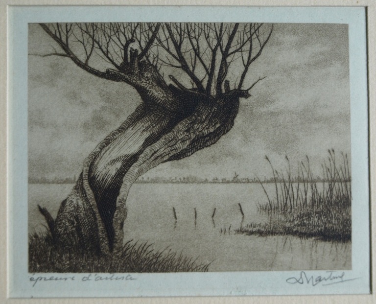 Dirk Harting (1884-1970) : Ets – Knotwilg aan het water – gesigneerd – ca 1935 verkocht voor € 40!