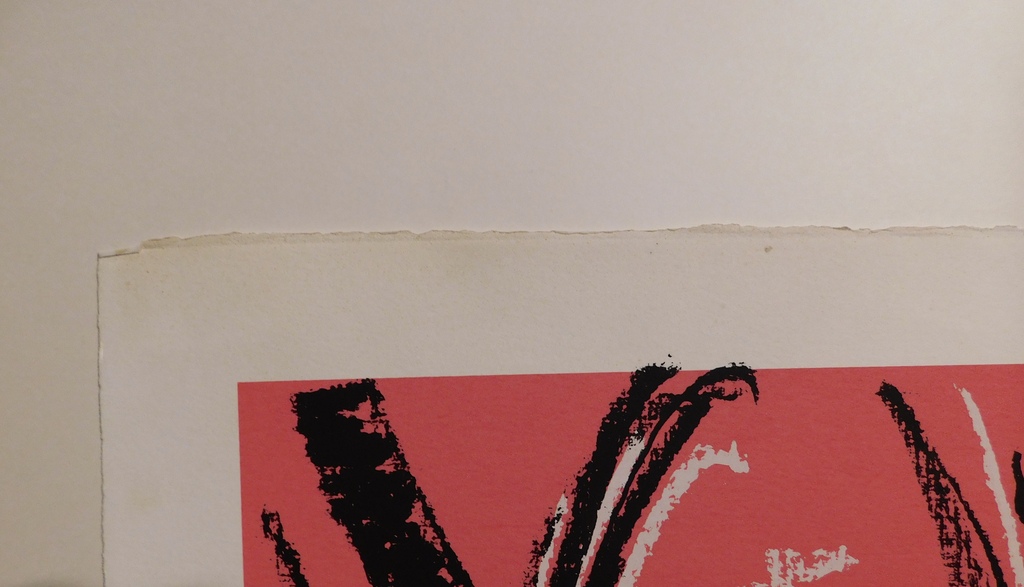 Dees de Bruyne - Kleurenlitho - Homme avec une cravate verte kopen? Bied vanaf 75!