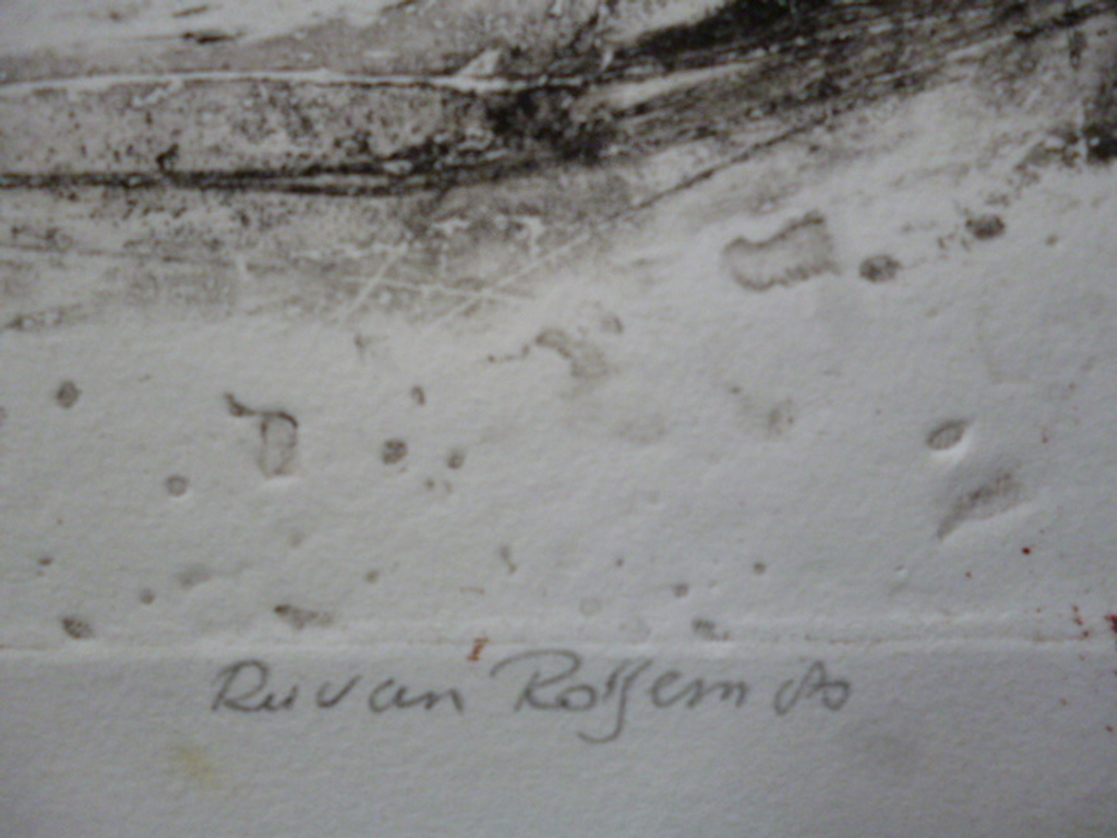 Ru van Rossem - kleurenets - La vie perdue III kopen? Bied vanaf 125!