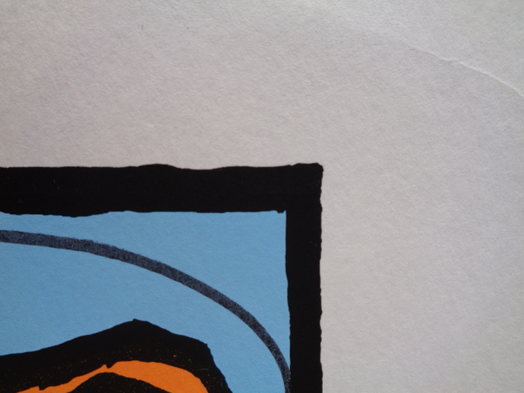 HERMAN BROOD, Gelimiteerde en HANDGESIGNEERDE Zeefdruk SPOELT U MAAR kopen? Bied vanaf 1!