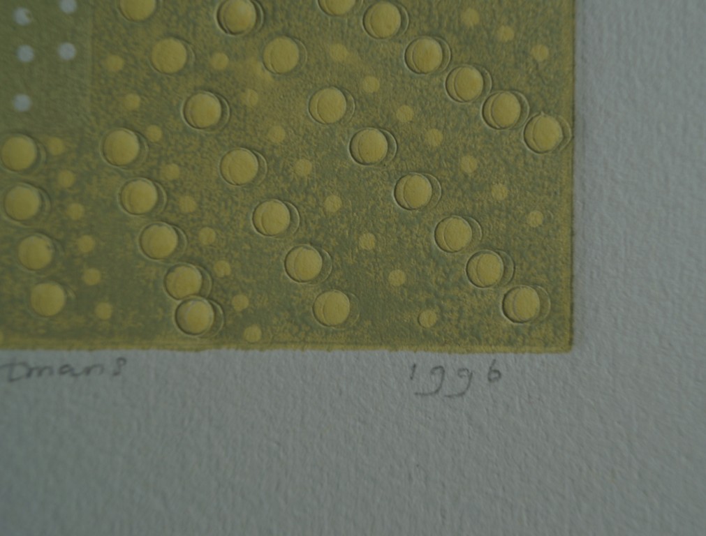 Suzanne Hartmans - zonder titel - gesigneerde ets met relief - 1996 kopen? Bied vanaf 1!