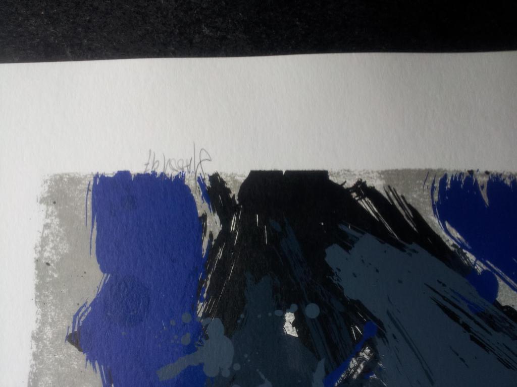 Ad van Hassel Gesigneerde Zeefdruk Grijze Tulpen Oplage 50 Ex kopen? Bied vanaf 1!