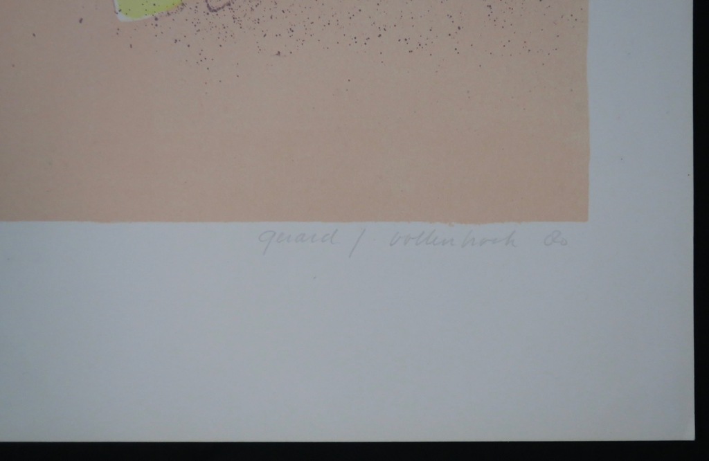 Gerard Vollenbrock: Litho, Gordijn kopen? Bied vanaf 1!