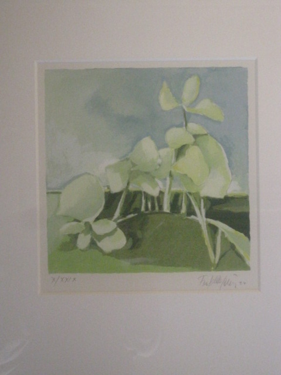 Fon Klement 1930-2000 Kleine oplage nr.10 van 29 boardsnede 1994 handgesigneerd  kopen? Bied vanaf 1!