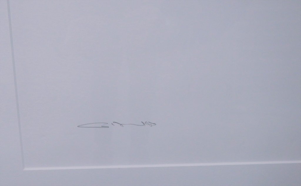 Gerard 't Hart: Zeefdruk, Z.T. - Ingelijst kopen? Bied vanaf 20!