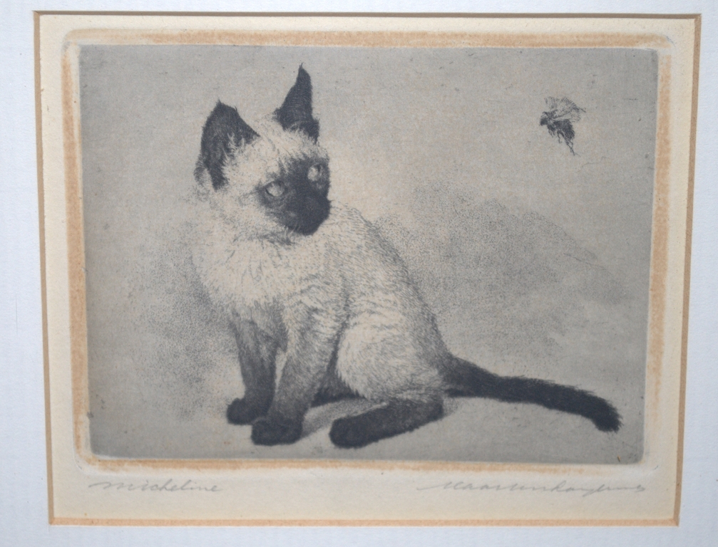 Kat loert naar een vlieg - handgesigneerde ets verkocht voor € 45!