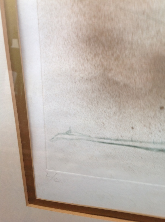 Onbekende kunstenaar gesigneerd Dali,  kopen? Bied vanaf 1!