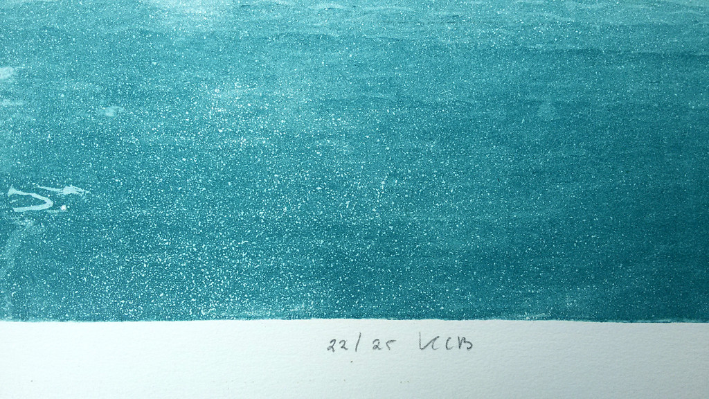 Leentje Linders - Bob is taking the plunge, aquatint ets met reliëfdruk kopen? Bied vanaf 70!