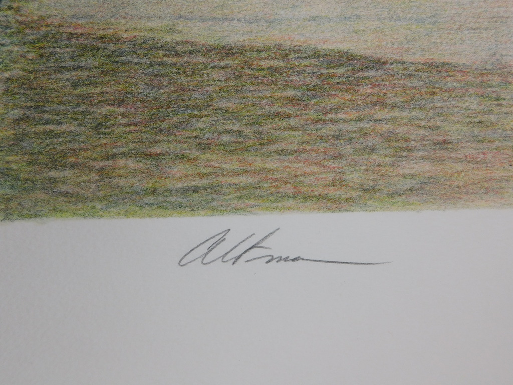 Harold Altman - Kleurenlitho - Blossom kopen? Bied vanaf 40!
