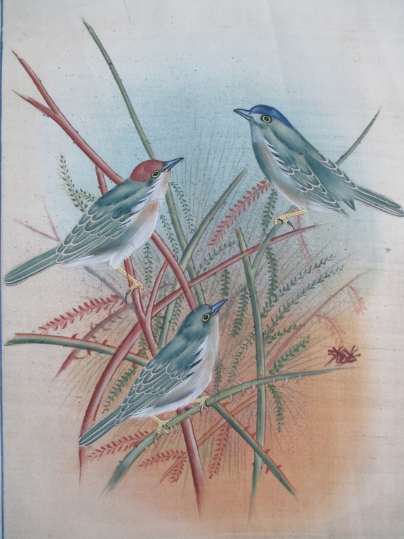 4x Handbeschilderd zijden doek: vogels kopen? Bied vanaf 15!