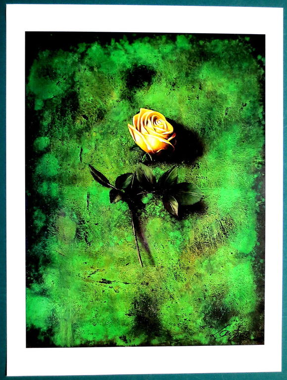 Michael Lauterjung, fotodruk,"Rosenstilleben", handgesigneerd! kopen? Bied vanaf 1!