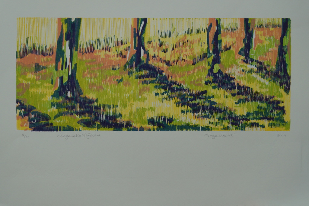 Angenelle Thijssen - gesigneerde houtsnede - Tegenlicht - 2004 kopen? Bied vanaf 20!