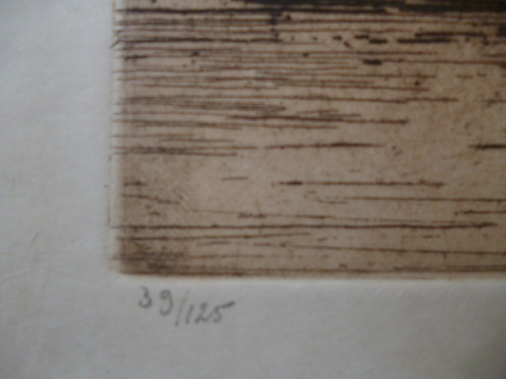 Hendrikus Elias Roodenburg  - ets - Bronkhorster veer bij Brummen kopen? Bied vanaf 100!