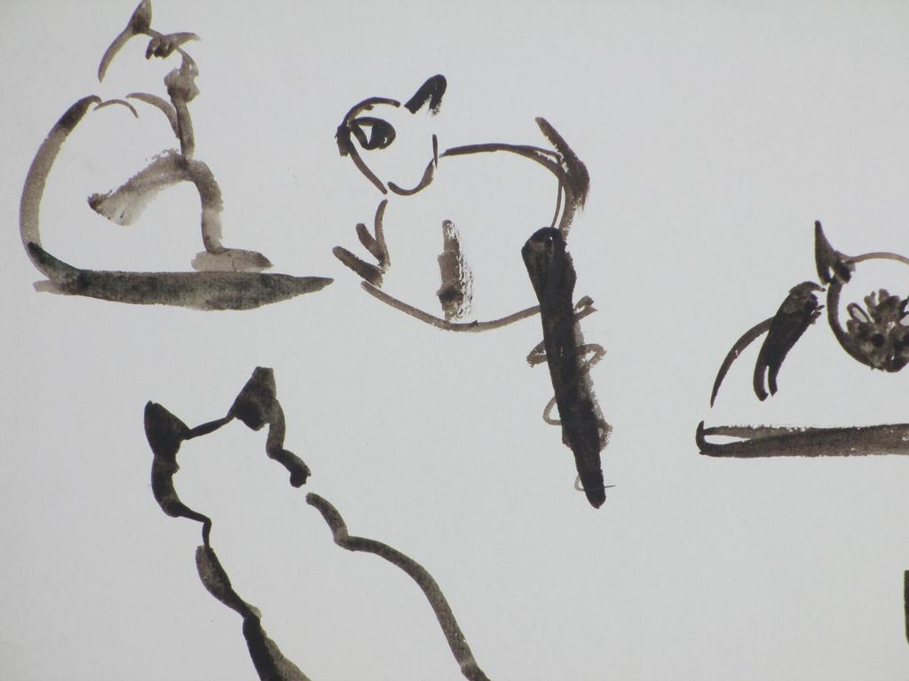 Hannie Bouman, Studietekening Katten, Inkt/Aquarel kopen? Bied vanaf 20!