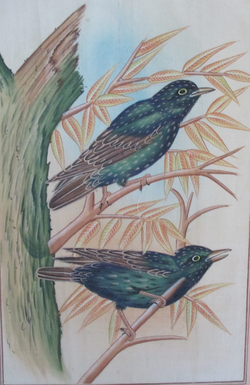 4x Handbeschilderd zijden doek: vogels kopen? Bied vanaf 1!