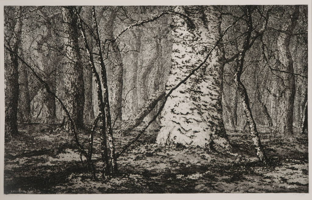 Reinder Homan: Ets, Bos verkocht voor € 60!