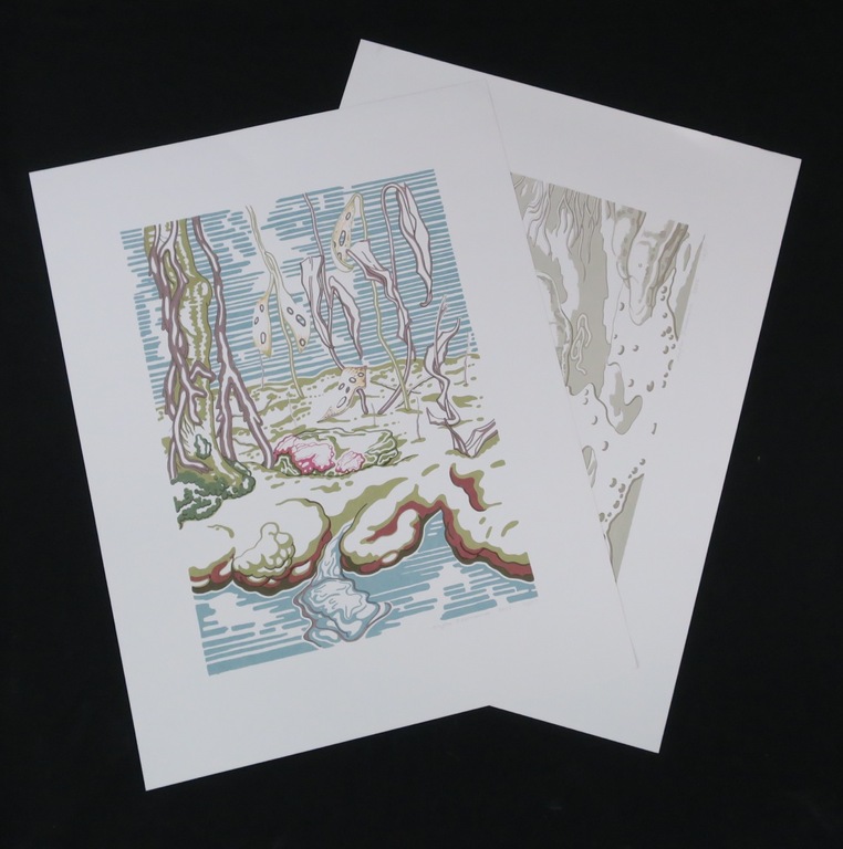 Lot met 2 zeefdrukken van Aafke Bennema: Branding en Landschap kopen? Bied vanaf 1!