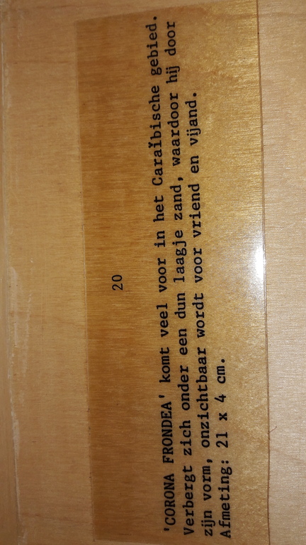 M Trompenaars.  Schelpenverzameling gesigneerd  kopen? Bied vanaf 1!