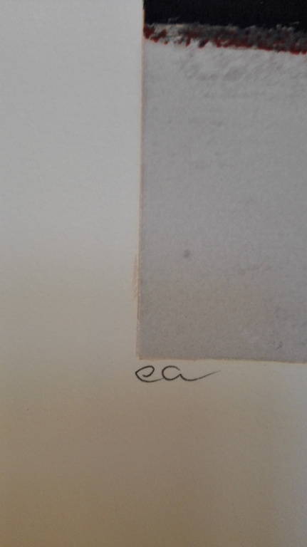 Ron van der Werf, zeefdruk op papier, Titel: Terra II kopen? Bied vanaf 75!