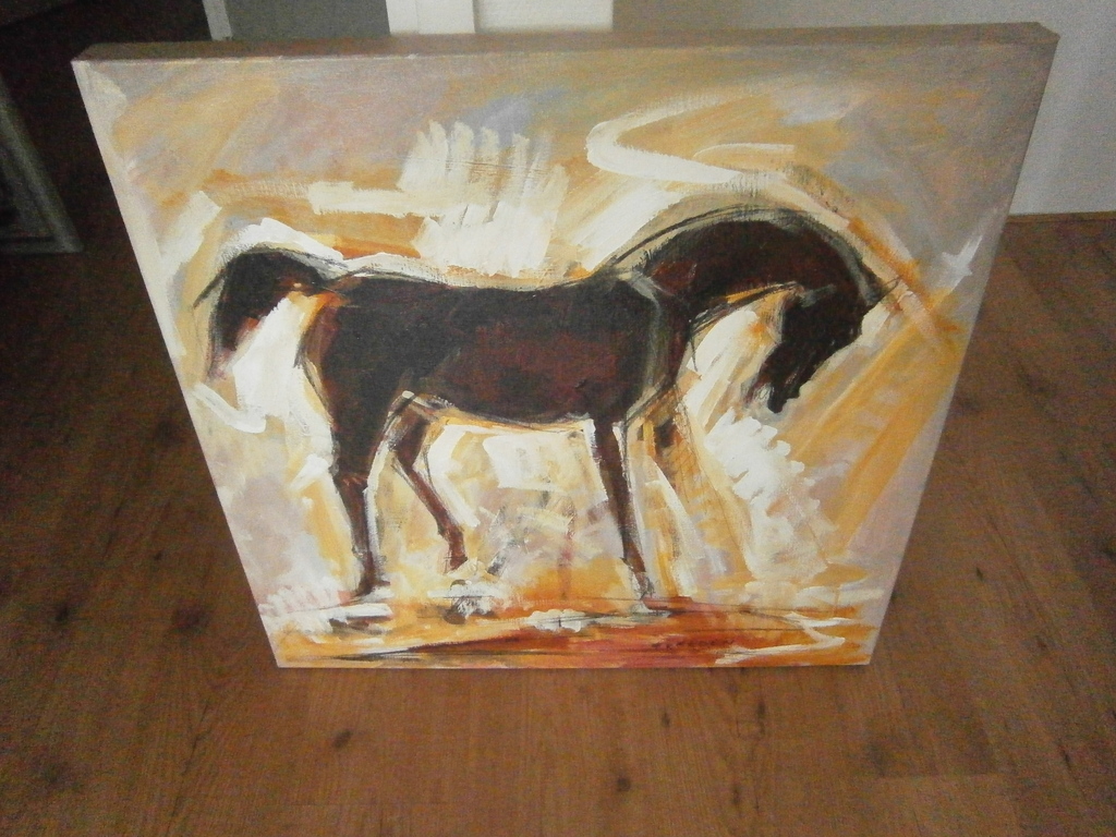 Twin Palaminos kopen? Bied vanaf 170!