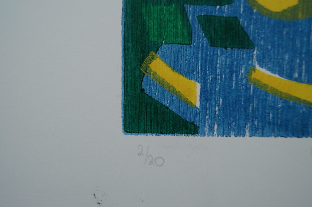 Angenelle Thijssen - gesigneerde houtsnede - de ronde van de Salamander - 20 ex. kopen? Bied vanaf 1!