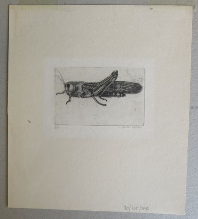 Charles Donker: Ets, Sprinhaan kopen? Bied vanaf 150!