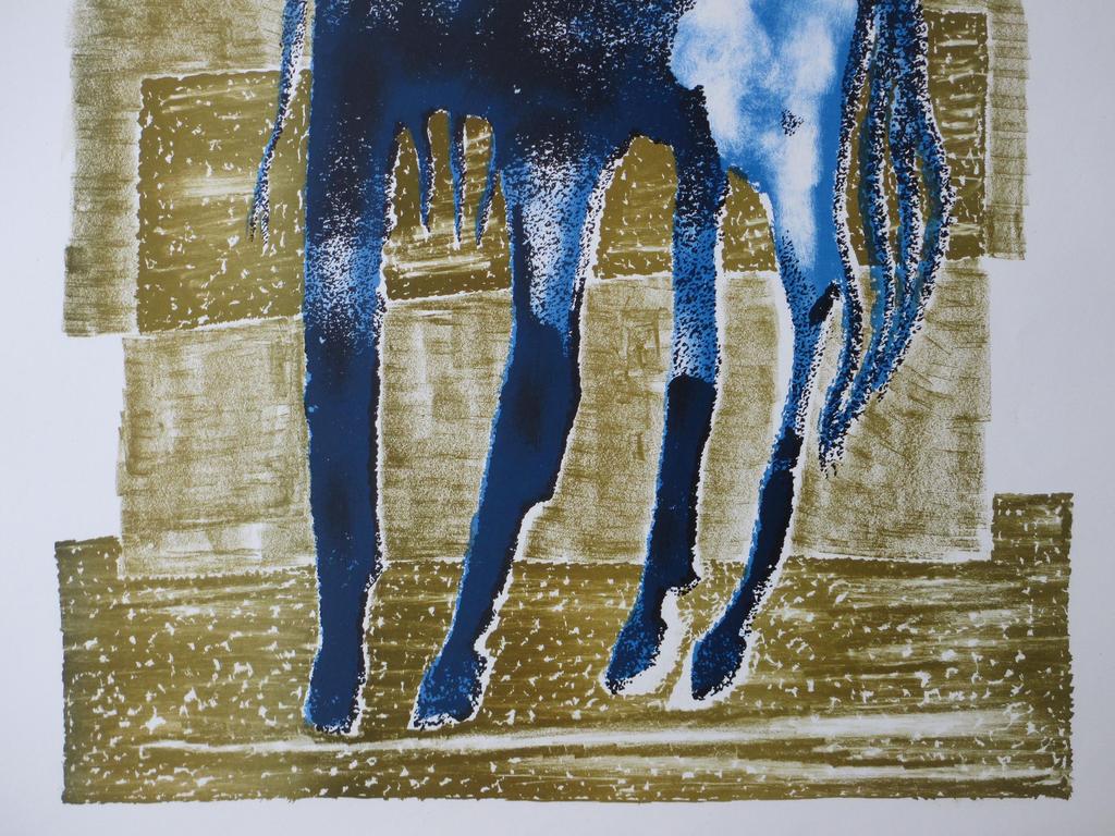 Dick Elffers, Mythologisch paard, Kleurenlitho kopen? Bied vanaf 35!