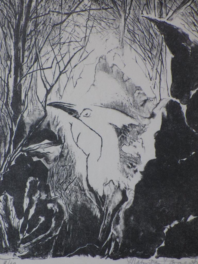 Maria van Hoogstraten - Maisie van Hoogstraten, Reiger, Litho kopen? Bied vanaf 1!
