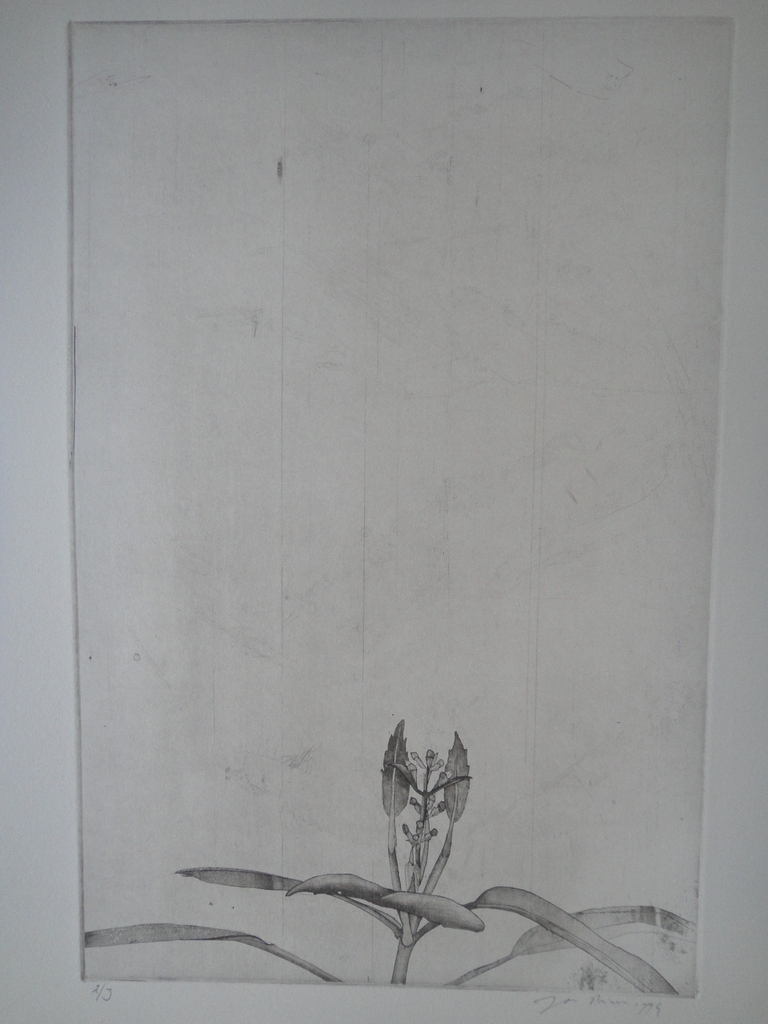 Jan Prins (1956) - (zeldzame) ets - tropische bloemen I kopen? Bied vanaf 1!