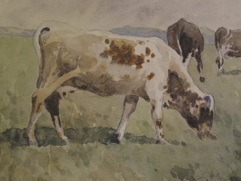 Hongaarse school aquarel "koeien in polder" gesigneerd Bereczk ca. 1920 kopen? Bied vanaf 1!