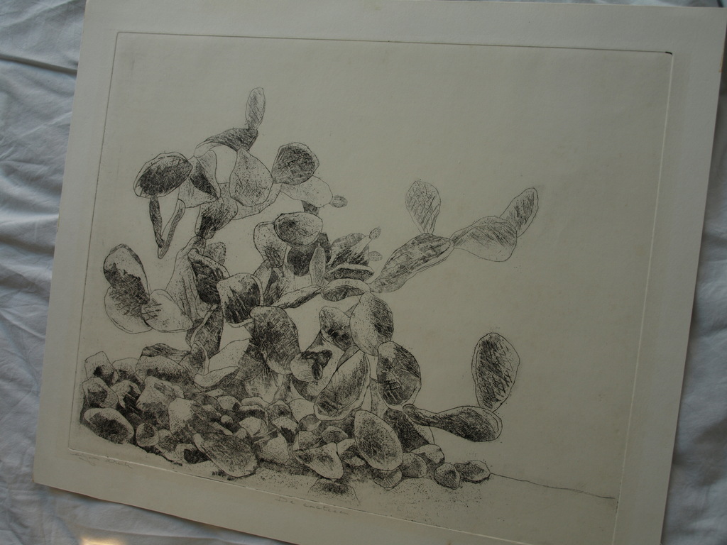 Walter Barten : Ets , De cactussen – gesigneerd – ca 1980 kopen? Bied vanaf 1!