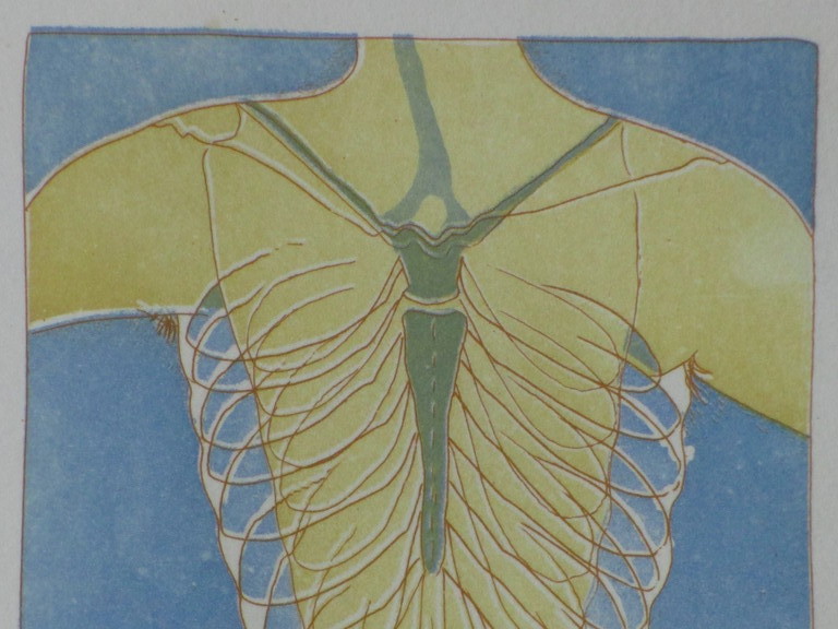 Jaap Hillenius, Mannelijke torso, Kleurets kopen? Bied vanaf 35!