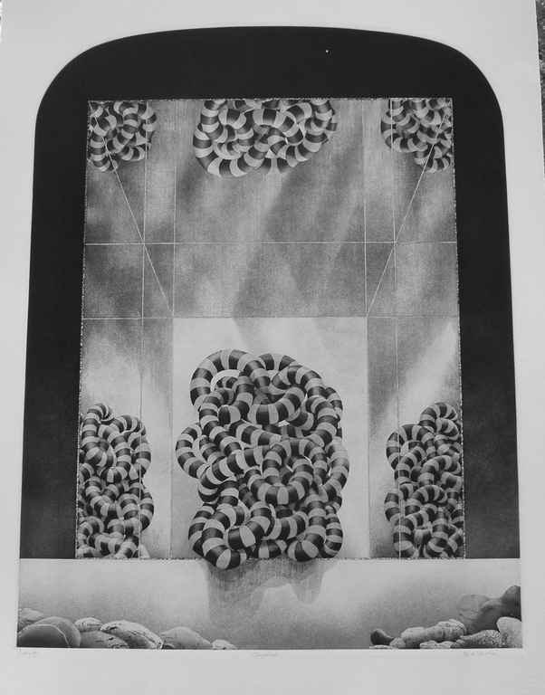 Gerard van Rooy, ets en aquatint: Perpetueel kopen? Bied vanaf 90!
