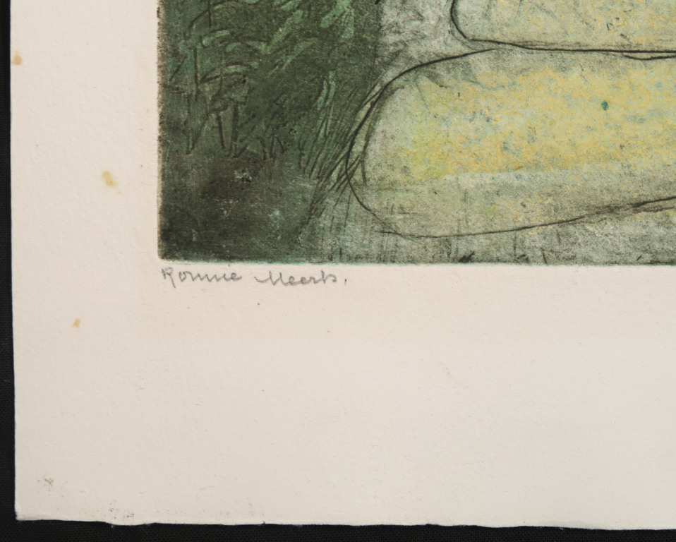 Ronnie Meerts: Ets, Villatuin Ascona kopen? Bied vanaf 1!