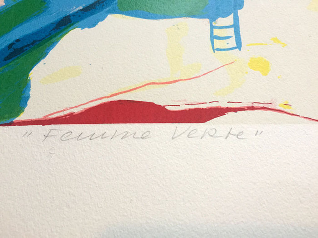 MARIJKE BOOMSMA  Gr Zeefdruk  FEMME VERTE   uit 1992 kopen? Bied vanaf 65!