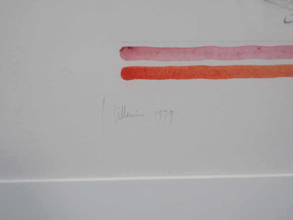 Jaap Hillenius: Handgekleurde Litho, Met wit licht - Ingelijst kopen? Bied vanaf 35!