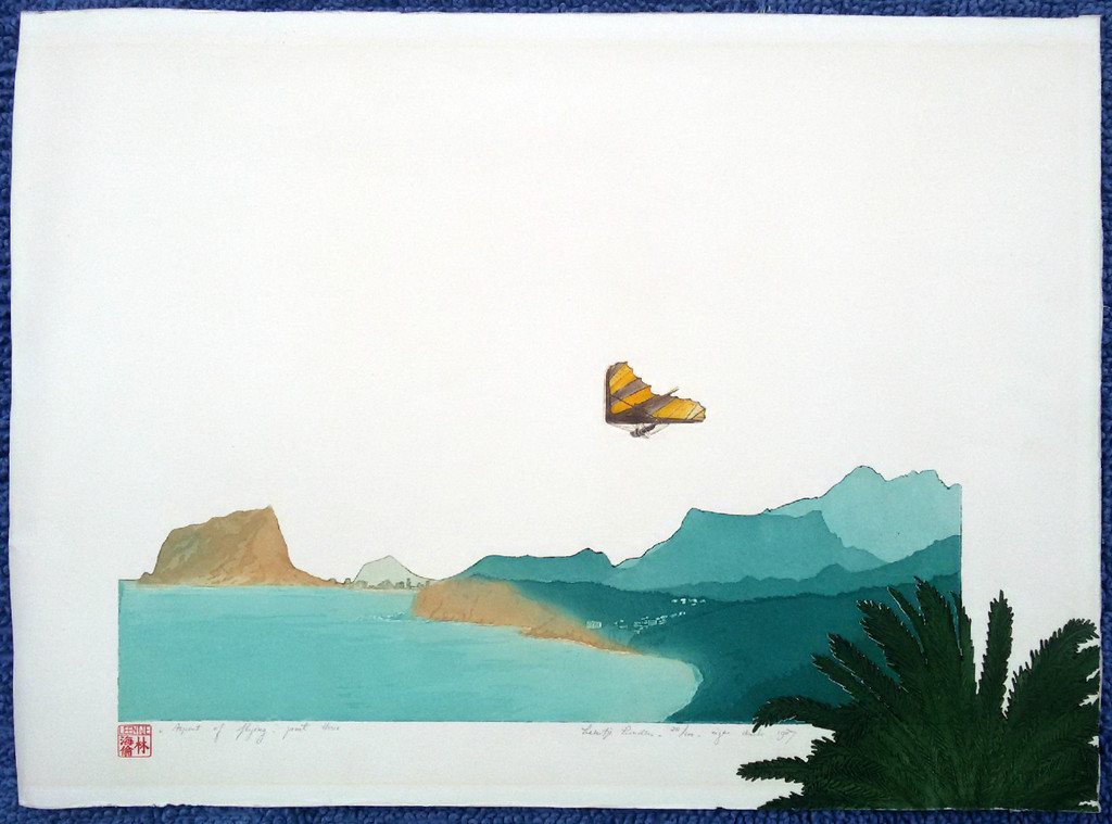 Leentje Linders - Aspect of flying III, aquatint ets met reliëfdruk kopen? Bied vanaf 70!