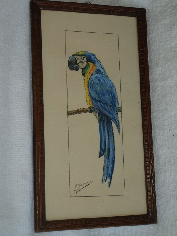 G. Janssen – Oude krijttekening  – Blauwe Ara – Gesigneerd & ingelijst  kopen? Bied vanaf 1!