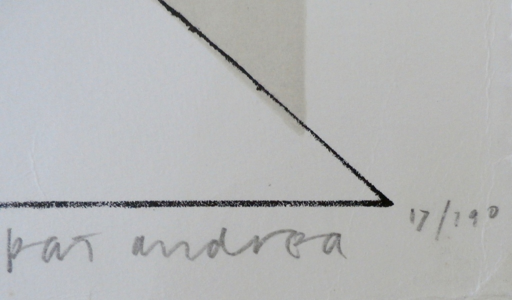 Pat Andrea -Litho:  Zomeravondtraining - 1970 - Prent 190 kopen? Bied vanaf 20!