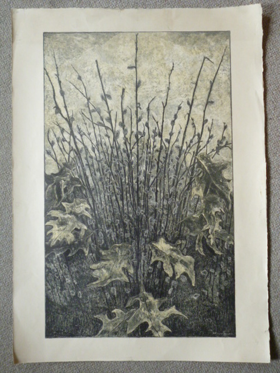 H.B.Dieperink - kleurenlitho - Wilgenkatjes kopen? Bied vanaf 20!