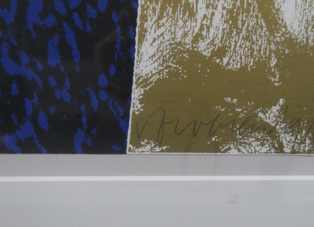 Jelis van Dolderen: Zeefdruk, Zonder titel - Ingelijst  kopen? Bied vanaf 20!