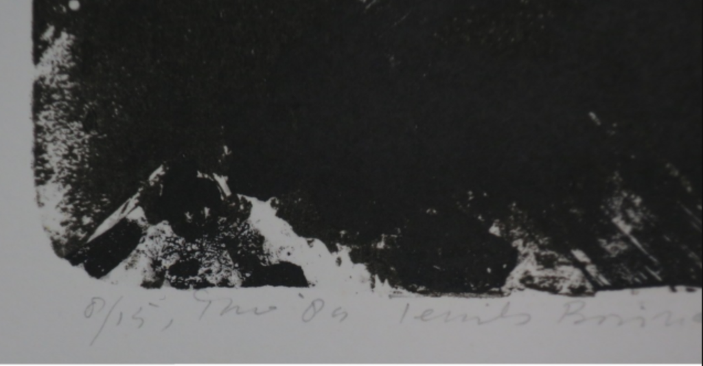 Theo Elfrink: Litho, Ternils Bosinage kopen? Bied vanaf 1!