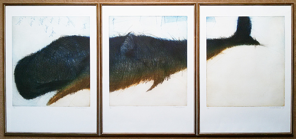 Ronald Tolman - Potvis, aquatint etsen (drieluik, mooi ingelijst, groot!) kopen? Bied vanaf 250!