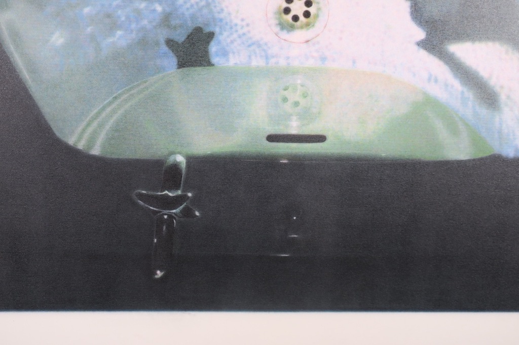 Nans Jetten: Zeefdruk op doek, Gewassen en geknipt 1 (Zeer groot) kopen? Bied vanaf 1!