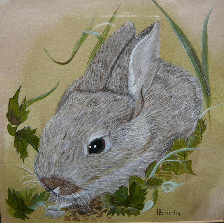 H. Brierley: Rabbit in the Wood -aquarel- kopen? Bied vanaf 25!