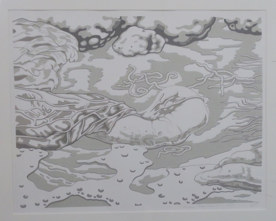 Aafke Bennema: Zeefdruk, Zonder titel - Ingelijst kopen? Bied vanaf 1!