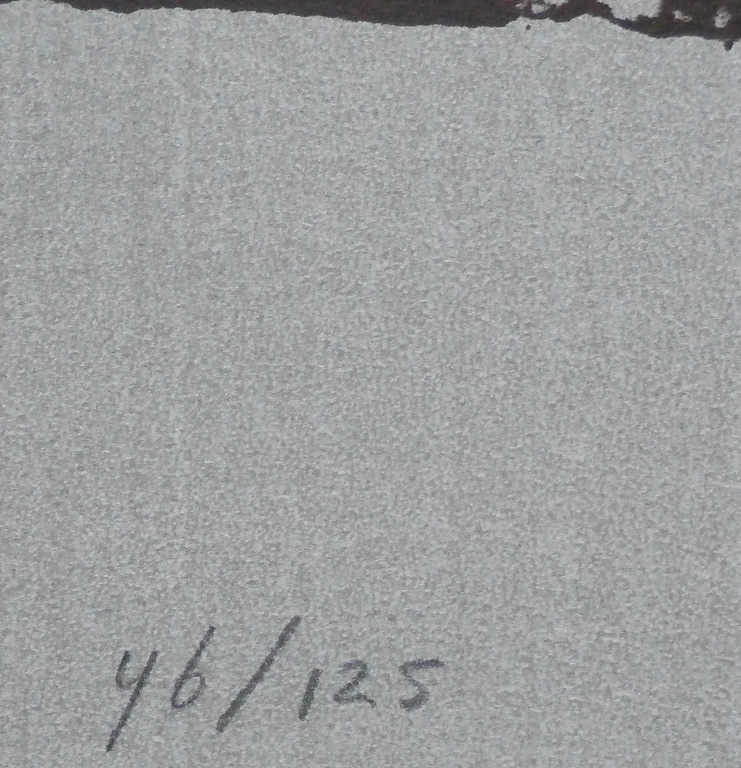 Peter Bes - Litho - 1993 kopen? Bied vanaf 45!