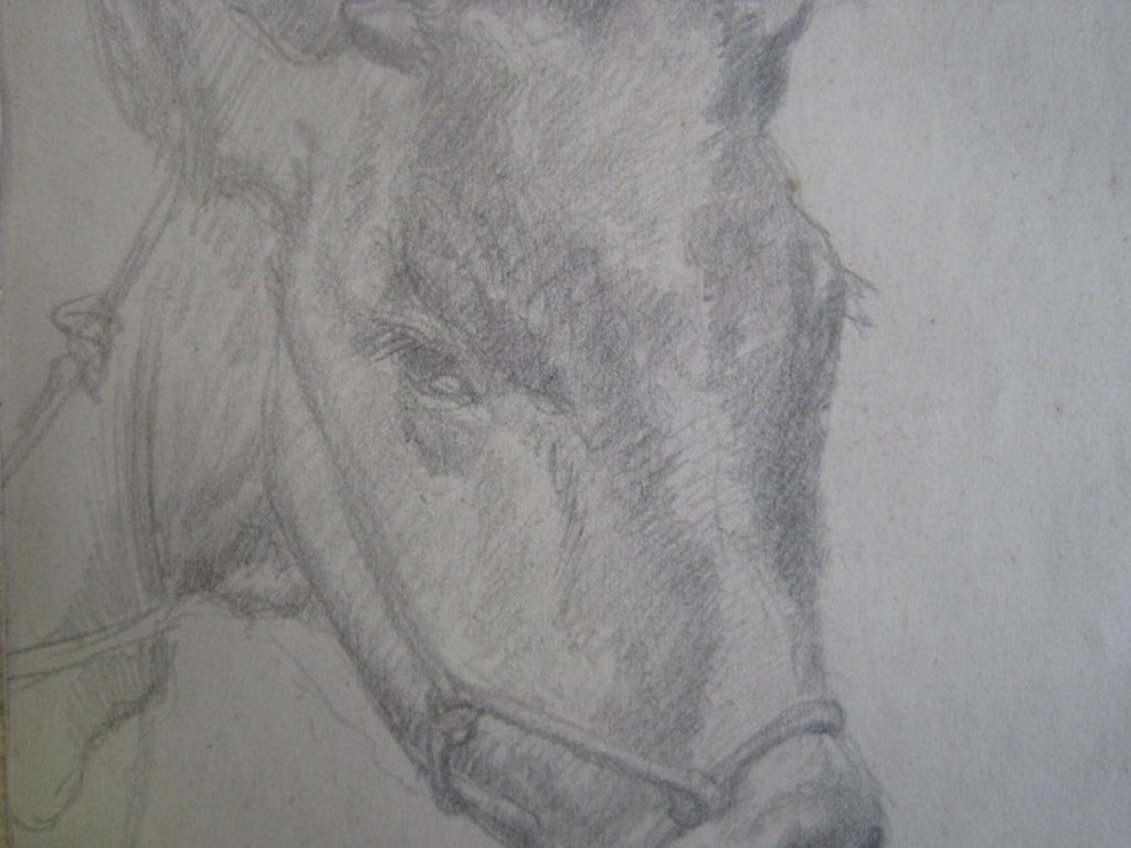 Frans Boers 1914-1987 tekening "Koe" ca. 1950 Laren  kopen? Bied vanaf 1!