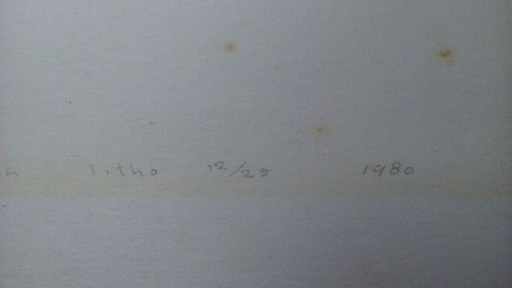 Riky Schellart: litho Hanengevecht, eigen druk kopen? Bied vanaf 25!